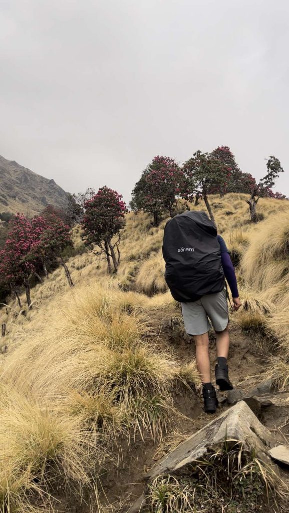 Backpacking Trek To Khumai Dada 